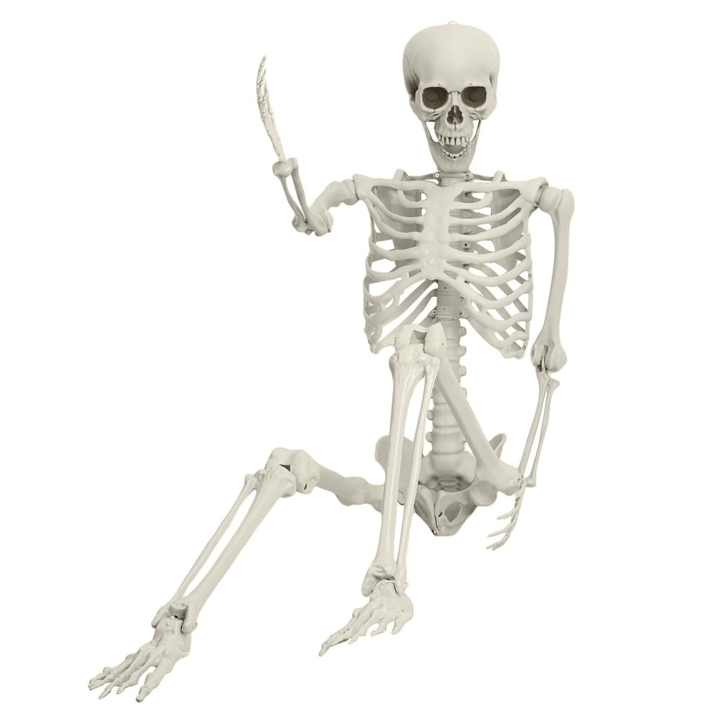 Life Size Imitation Skeleton with Posable Joints H6748