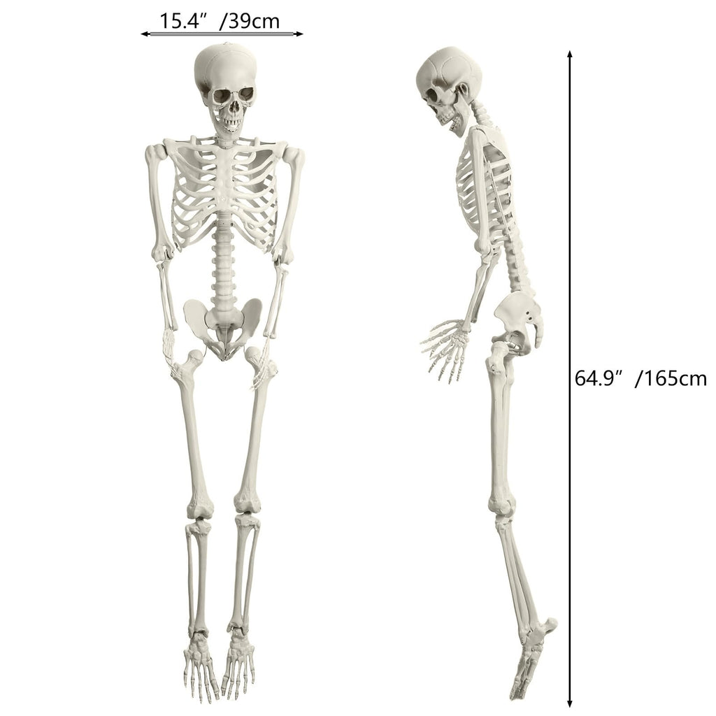 Life Size Imitation Skeleton with Posable Joints H6748