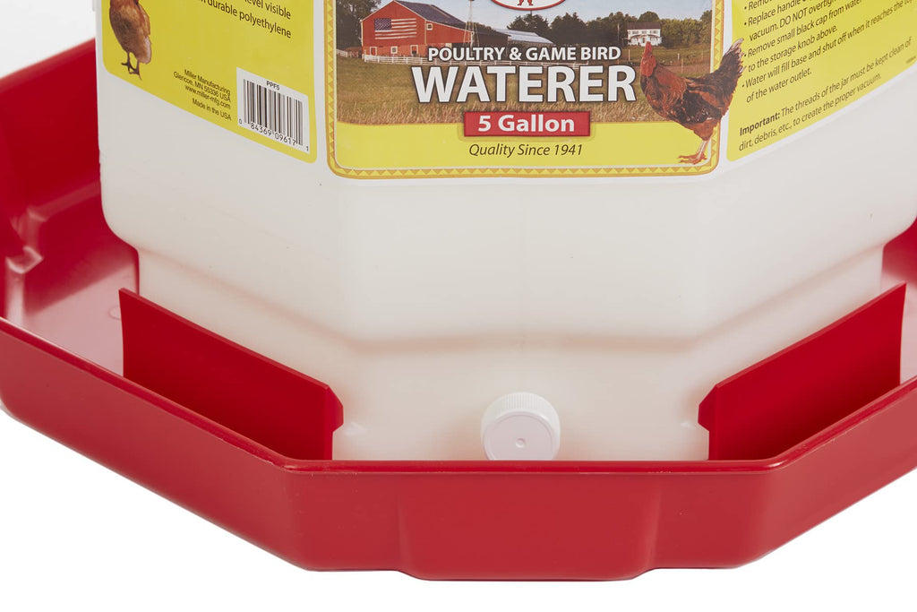 5 Gallon Plastic Poultry Waterer D350332