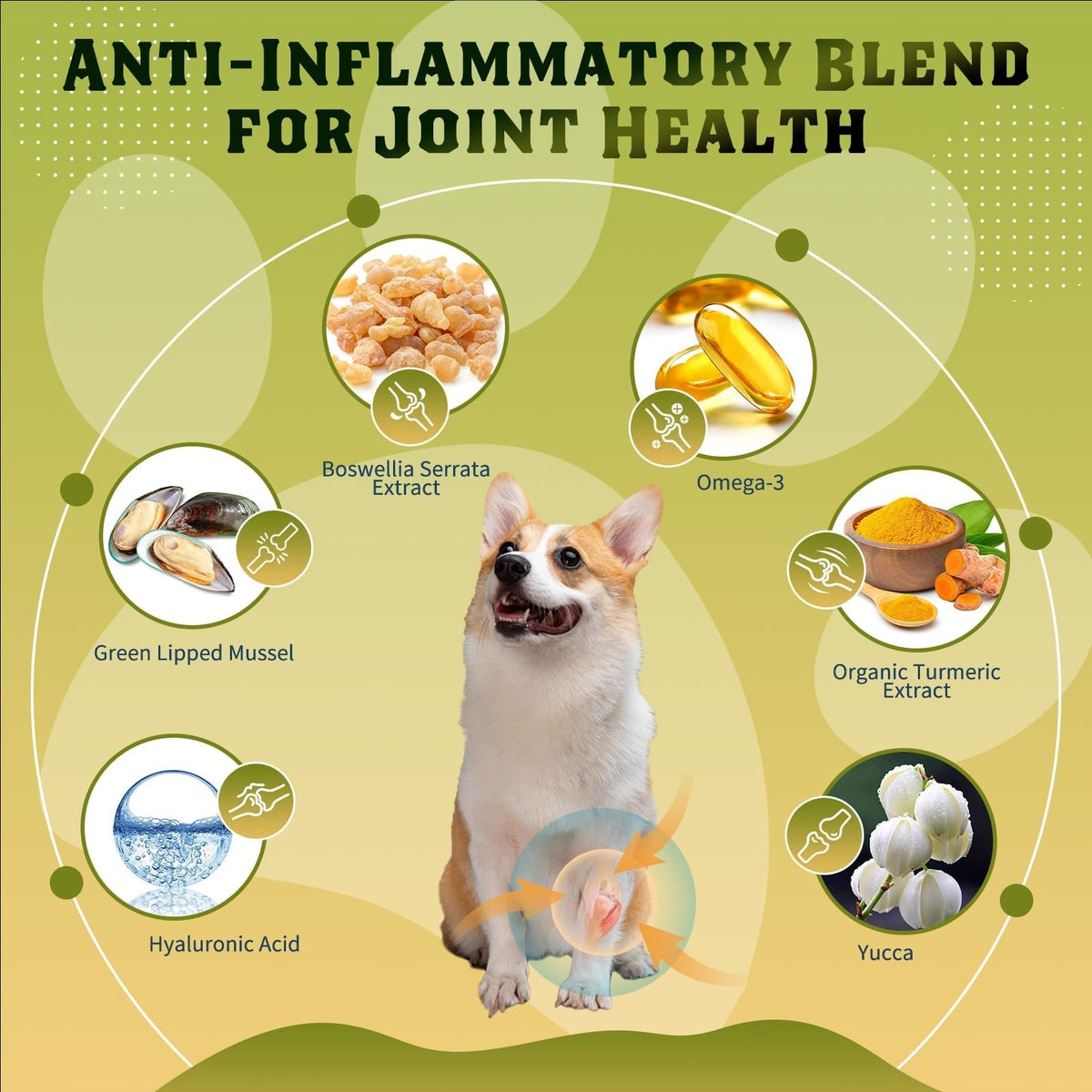 Glucosamine for Dogs Chicken Flavor 120 Freeze-Dried Chews R22851