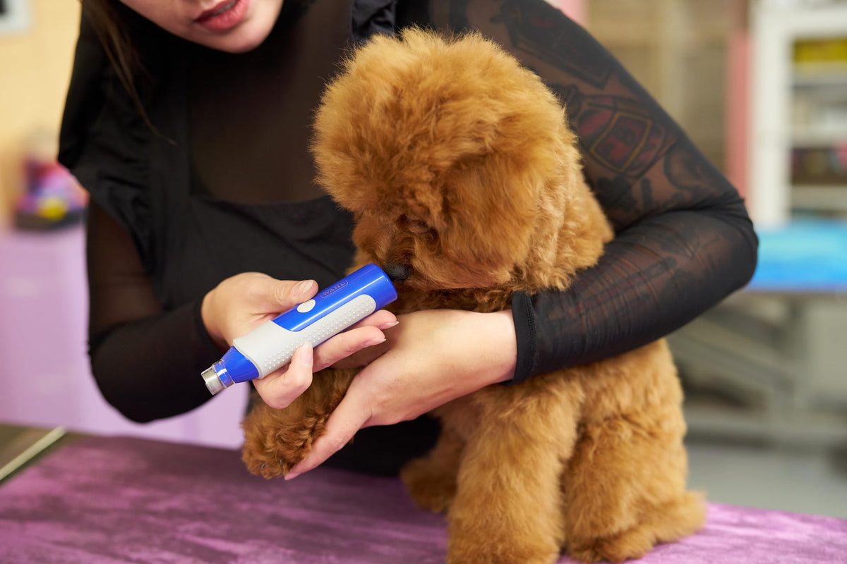 2-Speed Rechargeable Electric Pet Nail Grinder X9908