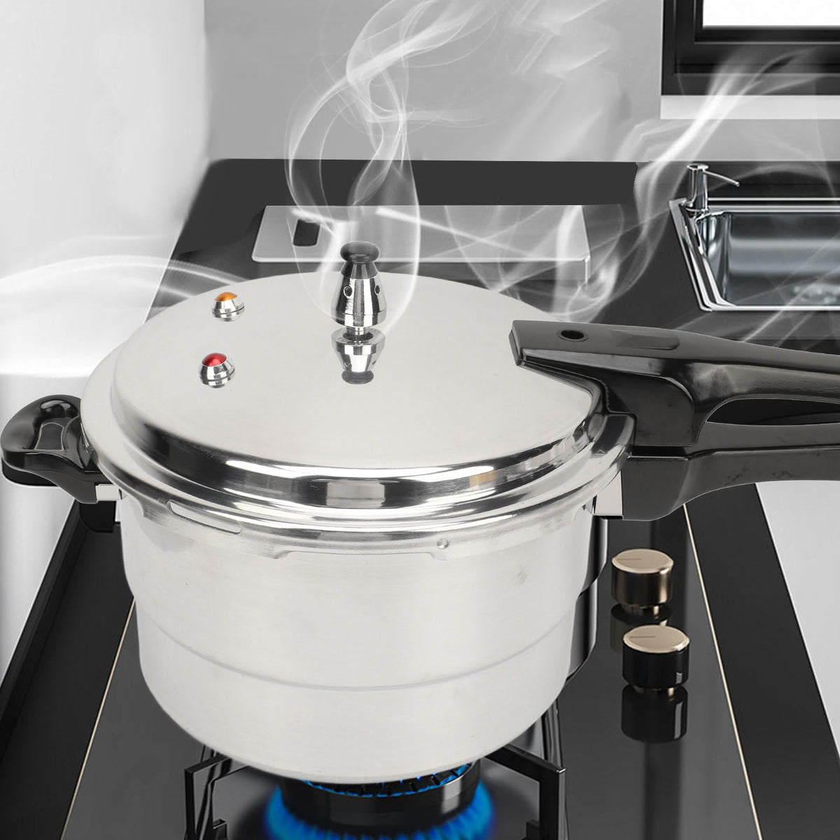 Stainless Steel 3L Pressure Cooker Y6881