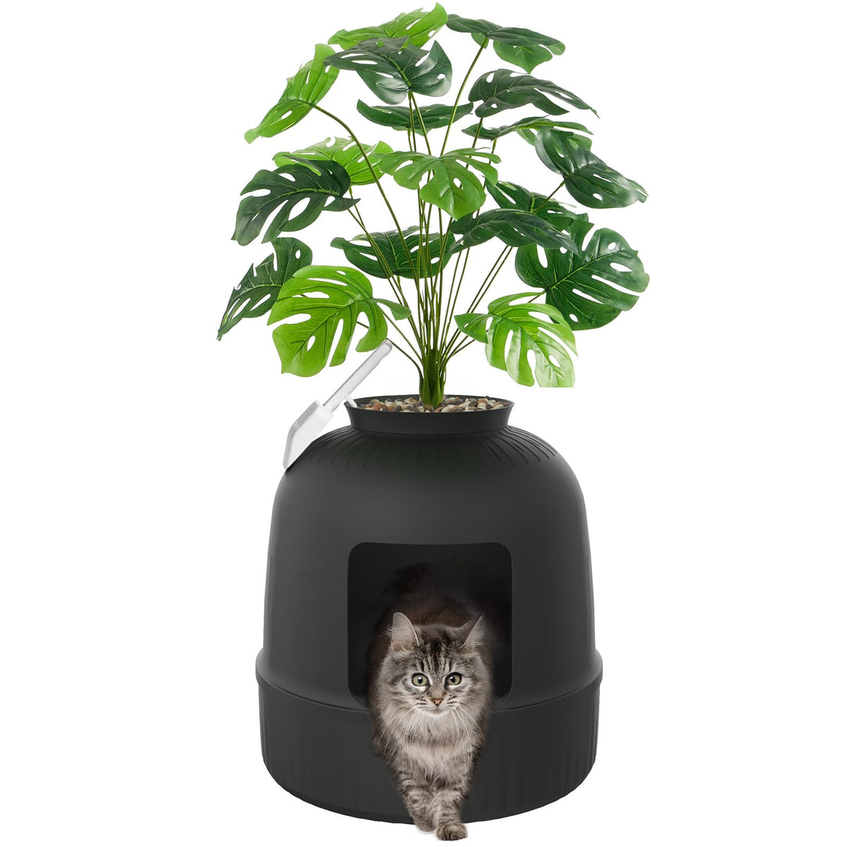Black Cat Litter Box with Scoop I7683