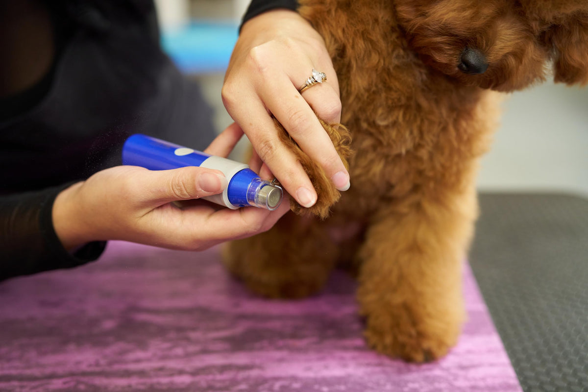 2-Speed Rechargeable Electric Pet Nail Grinder X9908