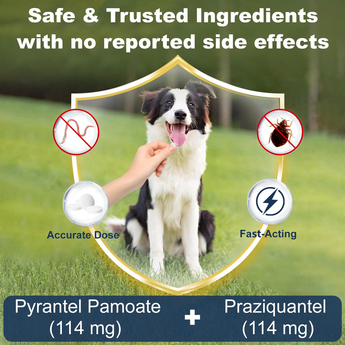 7-Way Dewormer for Dogs, 30 Tablets W137836