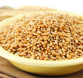 Hard White Spring Wheat Berries, 50 Lb. Bag H856043