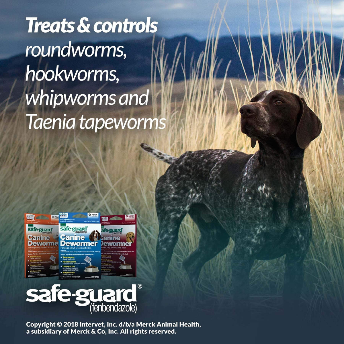 Canine Dewormer 1gm pouch N584736