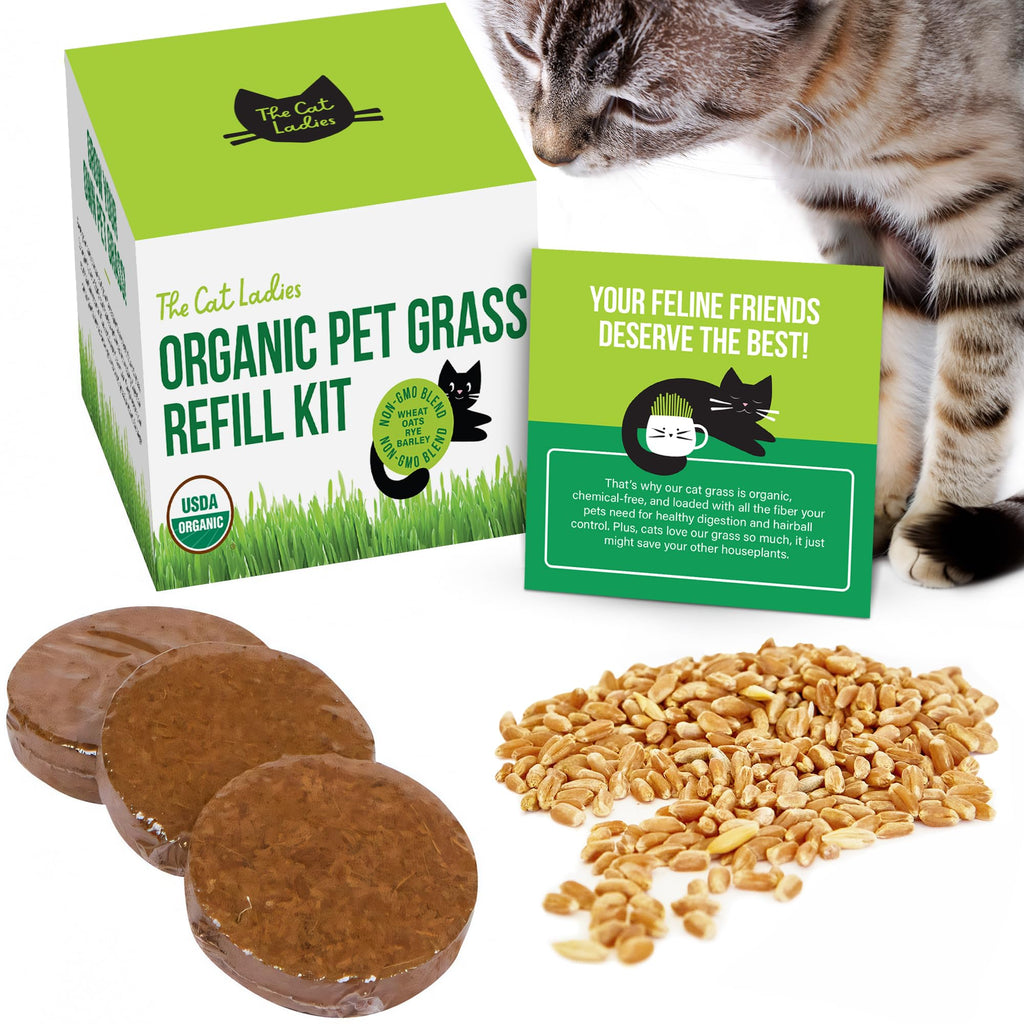Organic Cat Grass Seed and Coco Coir Soil Disks 3 Pack C717055