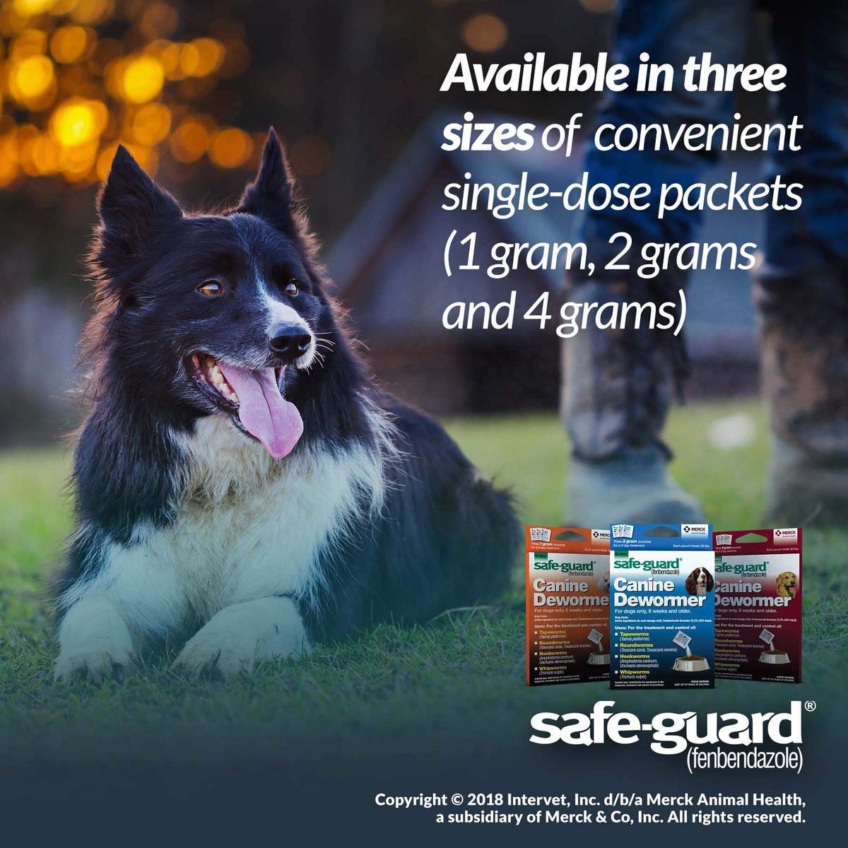 Canine Dewormer 1gm pouch N584736
