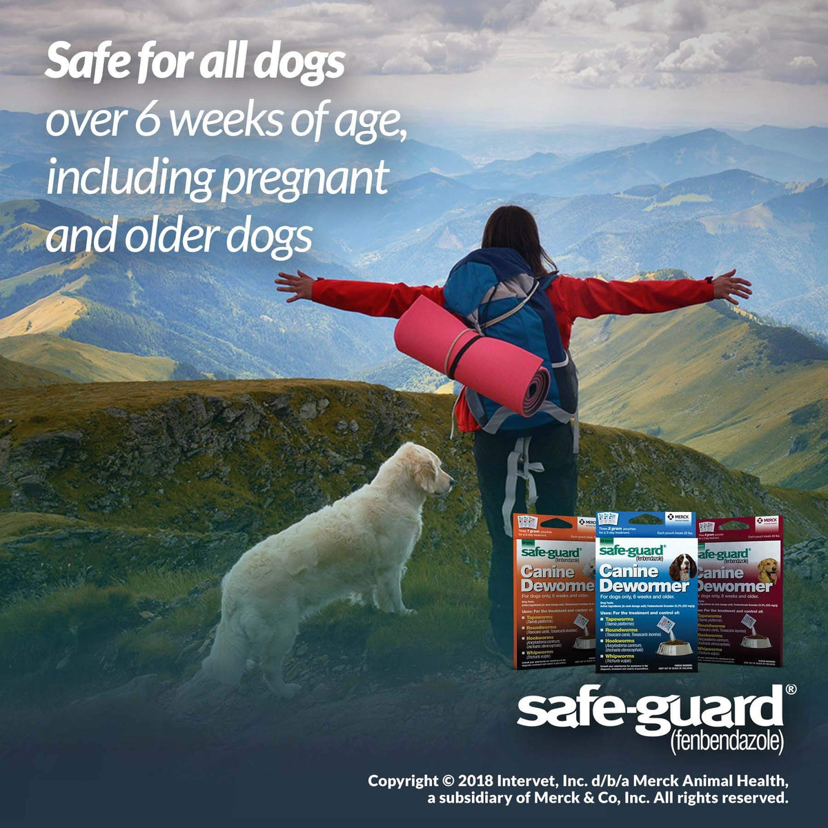 Canine Dewormer 1gm pouch N584736