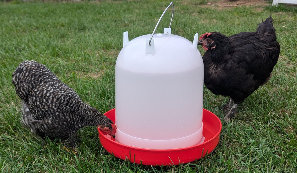 8L Chicken Waterer with Adjustable Legs K6771